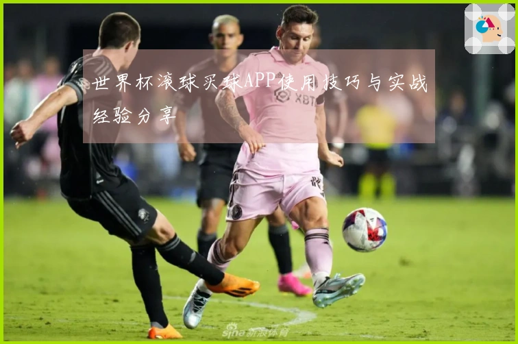 世界杯滚球买球APP使用技巧与实战经验分享
