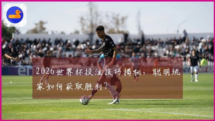 2026世界杯投注技巧揭秘，聪明玩家如何获取胜利？