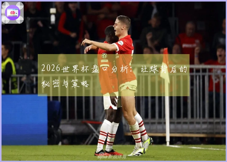 2026世界杯盘口分析：让球背后的秘密与策略