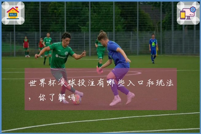 世界杯滚球投注有哪些入口和玩法，你了解吗