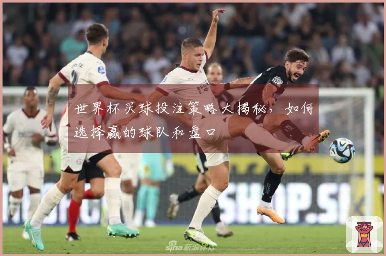 世界杯买球投注策略大揭秘，如何选择赢的球队和盘口
