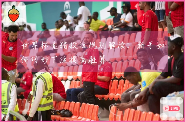 世界杯竞猜投注规则解读：新手如何巧妙下注提高胜算