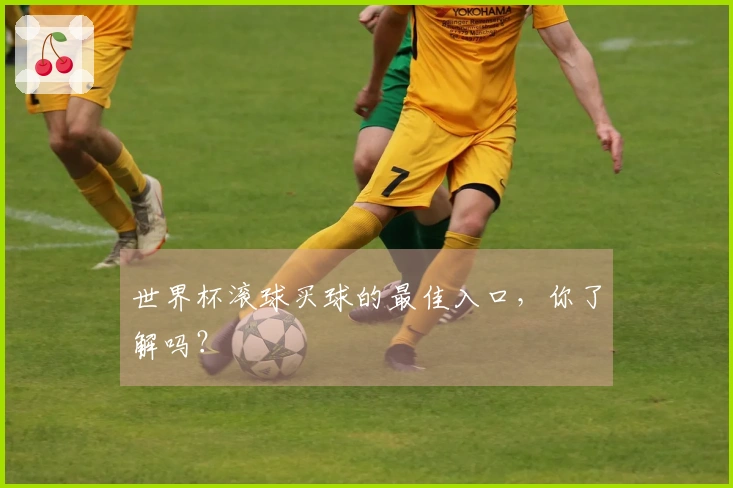 世界杯滚球买球的最佳入口，你了解吗？