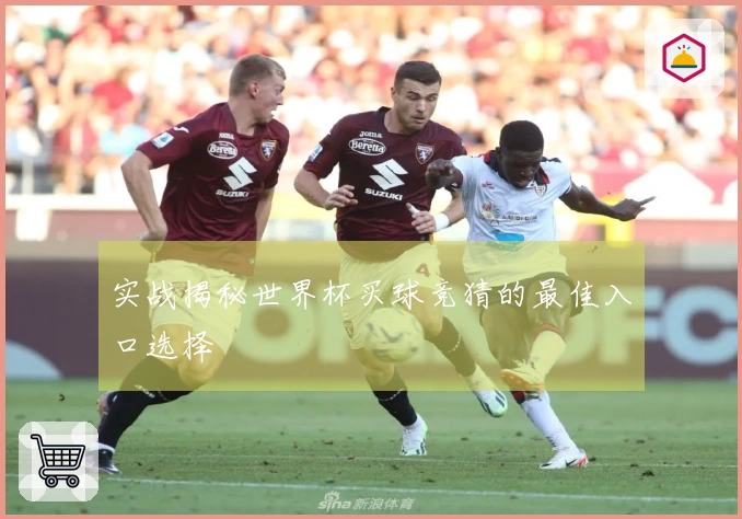 实战揭秘世界杯买球竞猜的最佳入口选择