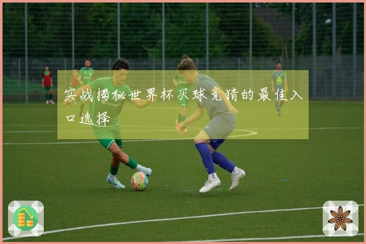 实战揭秘世界杯买球竞猜的最佳入口选择
