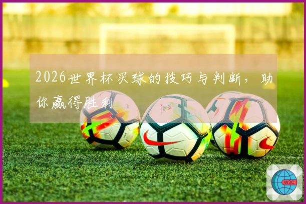 2026世界杯买球的技巧与判断，助你赢得胜利