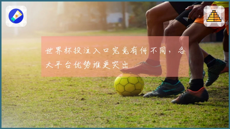 世界杯投注入口究竟有何不同，各大平台优势谁更突出