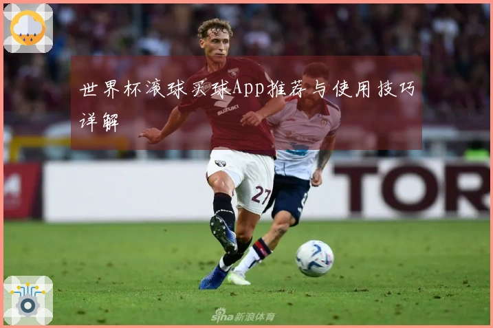世界杯滚球买球App推荐与使用技巧详解