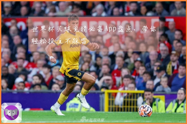 世界杯买球竞猜必备App盘点，带你轻松投注不踩雷