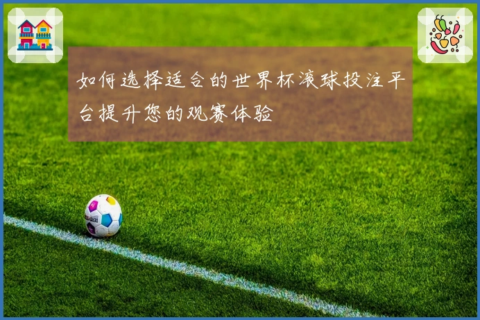 如何选择适合的世界杯滚球投注平台提升您的观赛体验