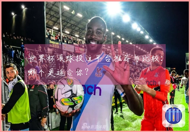 世界杯滚球投注平台推荐与比较：哪个更适合你？
