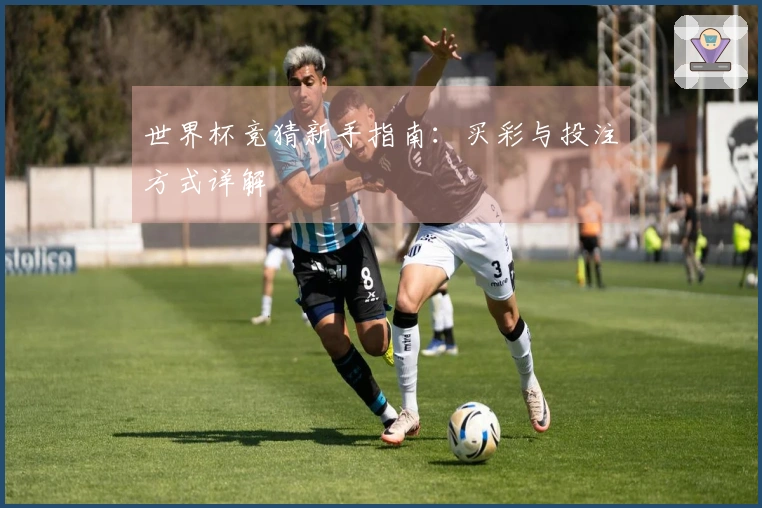 世界杯竞猜新手指南：买彩与投注方式详解