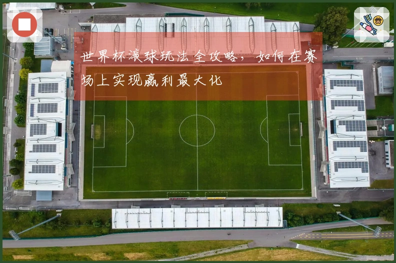 世界杯滚球玩法全攻略，如何在赛场上实现赢利最大化