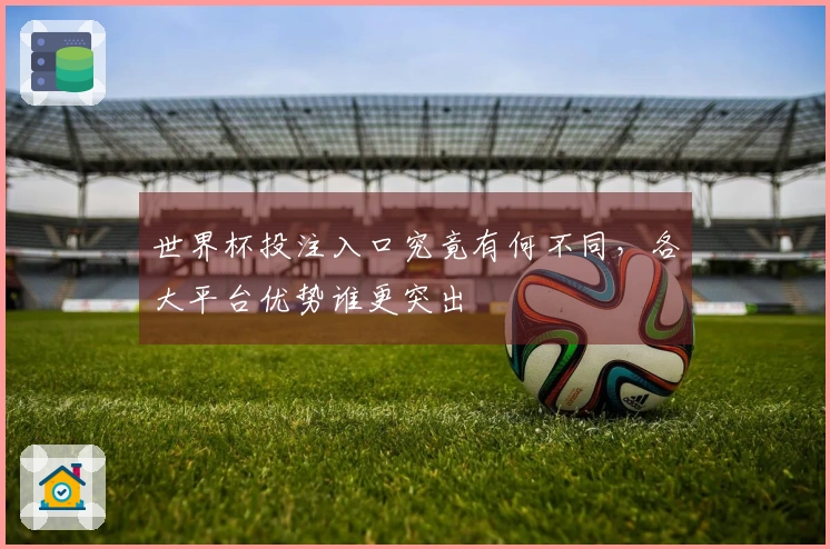 世界杯投注入口究竟有何不同，各大平台优势谁更突出
