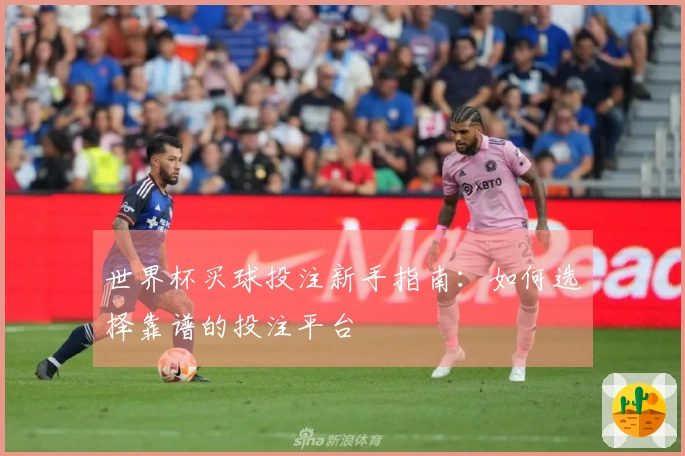 世界杯买球投注新手指南：如何选择靠谱的投注平台